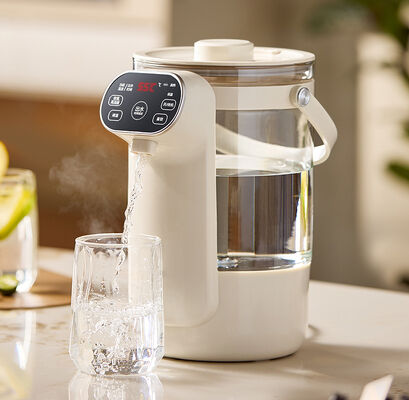 3L Capacity Thermostatic Electric Kettle 800W 12 Gear Water Temperature Adjustment