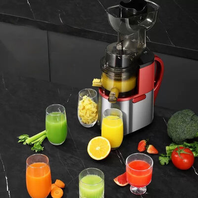 Household Large Diameter Vegetable Juicer Machine Juice Making Machine
