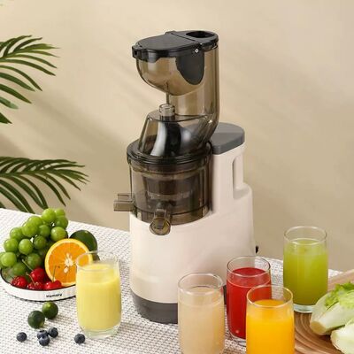 500W Automatic Fruit Juicer Multifunctional 500ml White Fruit Juicer Machine