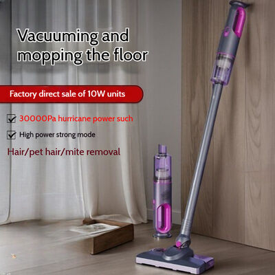 Home Wireless Vacuum Cleaner Mite Removal 100W Portable Vacuum Cleaner 9500pa